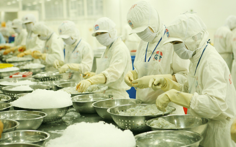 Thủy sản là một trong những mặt hàng đạt giá trị xuất khẩu cao trong 4 tháng đầu năm 2022. Ảnh: TRẦN TUẤN