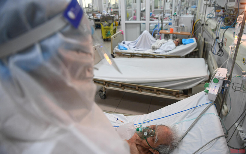 (Ảnh minh họa: THÀNH ĐẠT)