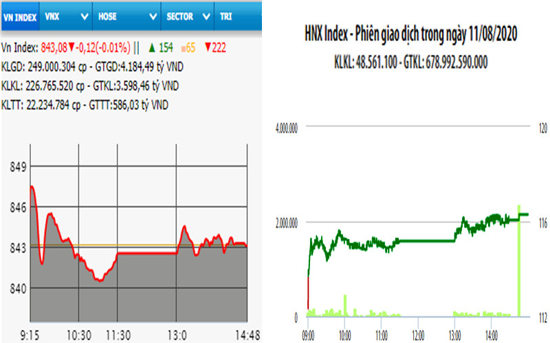 Diễn biến VN-Index và HNX-Index, phiên giao dịch ngày 11-8. 