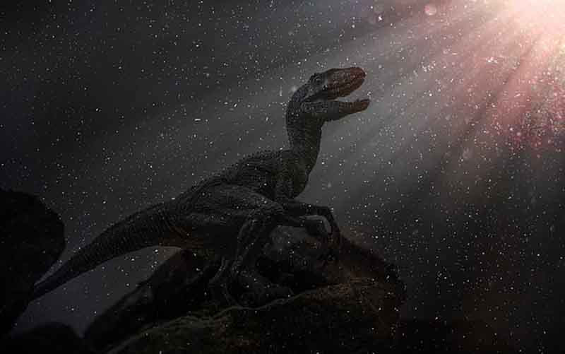 (Ảnh minh họa: Shutterstock).