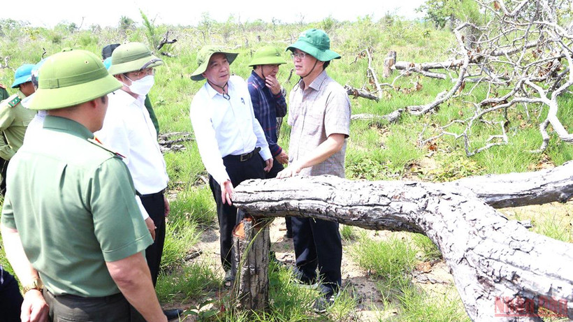Bí thư Tỉnh ủy Đắk Lắk Nguyễn Đình Trung và Chủ tịch UBND tỉnh Phạm Ngọc Nghị trực tiếp kiểm tra rừng bị tàn phá tại tiểu khu 205, xã Ya Tờ Mốt, huyện Ea Súp.