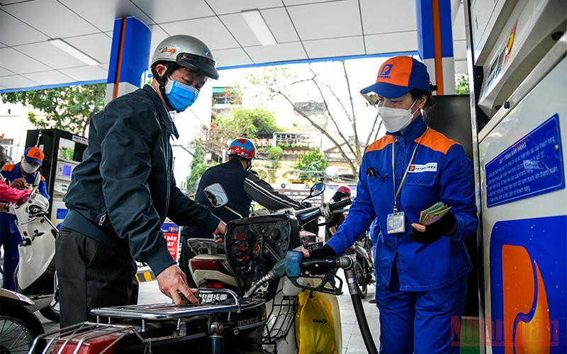 (Ảnh minh họa: THÀNH ĐẠT)