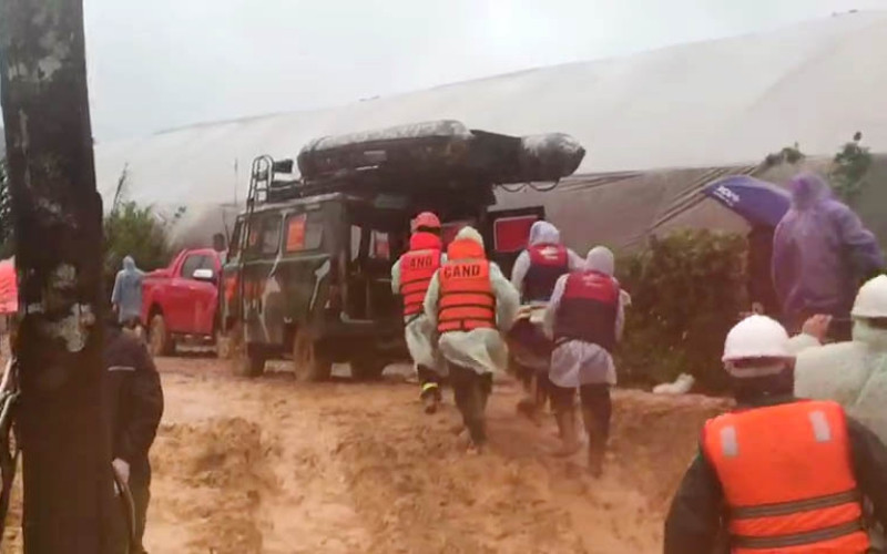 “Đường về” mịt mù trong mưa rừng.