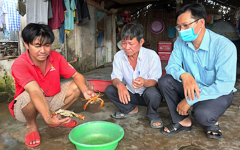 Dịch bệnh khiến cua nuôi trong vuông tôm chết hàng loạt những tháng đầu năm 2022 nhưng chưa có giải pháp khắc phục hữu hiệu.