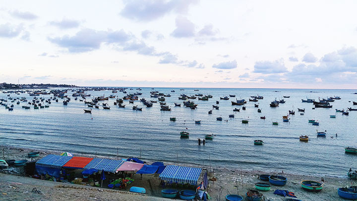 Cảng cá ở Bình Thuận.