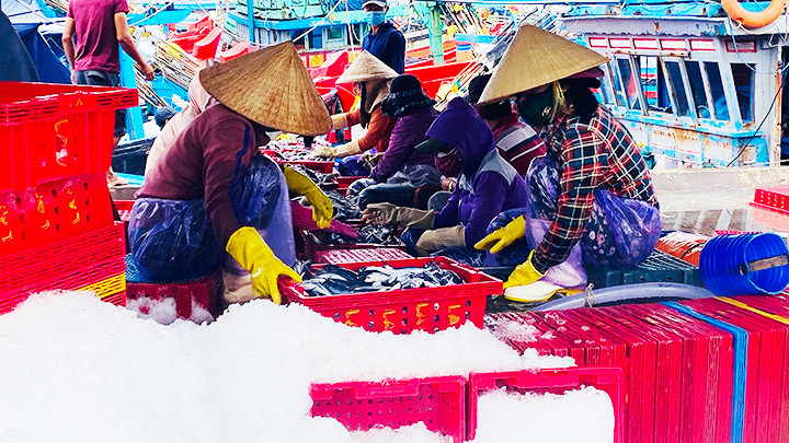 Có công việc ổn định, gia đình êm ấm là mong ước của nhiều chị em phụ nữ.