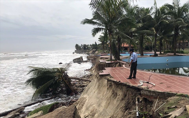 Bờ biển Cửa Đại (TP Hội An, Quảng Nam) đang bị sạt lở với tốc độ chóng mặt.