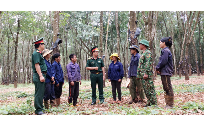 Con em người dân làng Beng, xã Ia Chía, huyện Ia Grai được Công ty TNHH Một thành viên 74 (Binh đoàn 15) nhận vào làm công nhân cạo mủ cao-su.