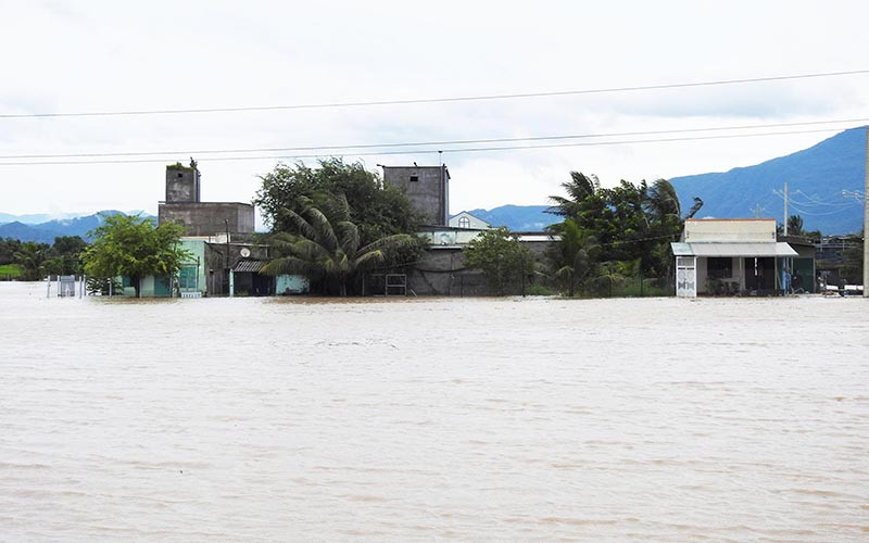 Một khu nhà dân ở vùng trũng thuộc xã Hộ Hải, huyện Ninh Hải, tỉnh Ninh Thuận bị cô lập giữa biển nước.