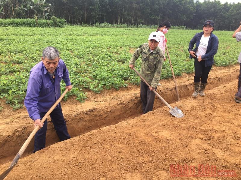 Lao động đổi công tại thôn Cao Cảnh, xã Cao Quảng, huyện Tuyên Hóa, Quảng Bình.
