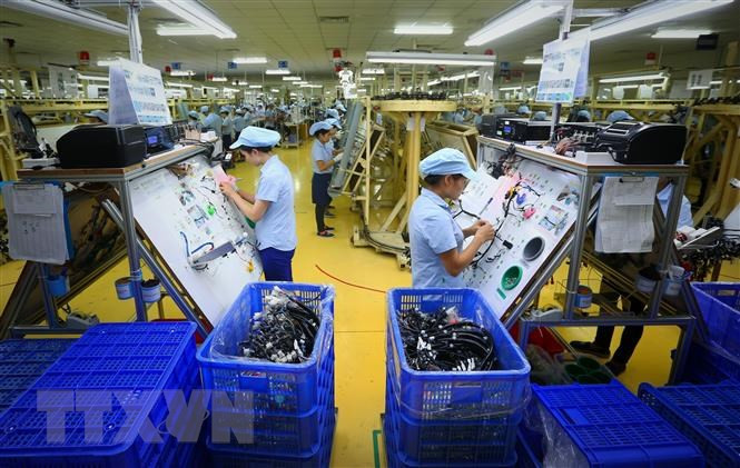 Ảnh minh họa: TTXVN.