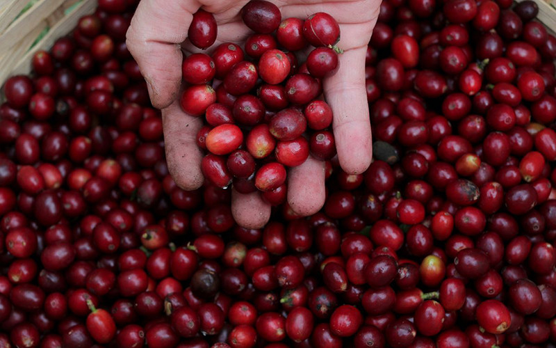 Ảnh minh họa. (Ảnh: Reuters)