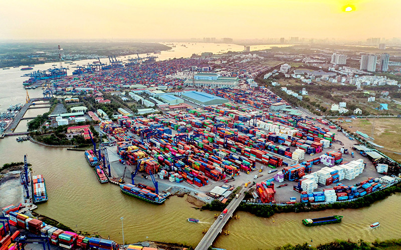 Để giải phóng container tồn tại cảng Cát Lái, hàng hóa nhập được phép vận chuyển đến cảng biển khác trên địa bàn TP Hồ Chí Minh... Ảnh: Quỳnh Danh