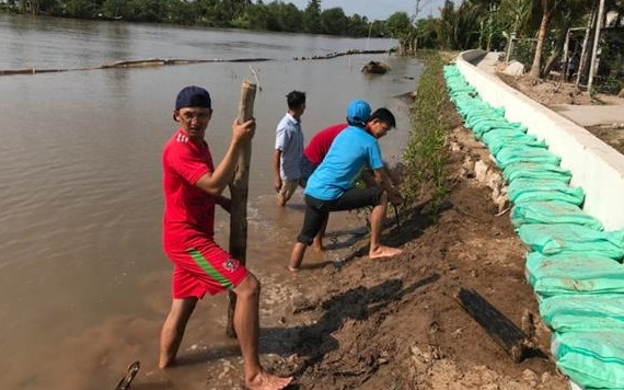 Làm kè sinh thái ở huyện Châu Thành.