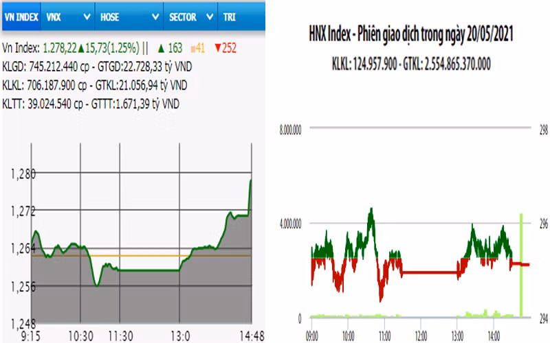 Diễn biến VN-Index và HNX-Index, phiên giao dịch ngày 20-5. 