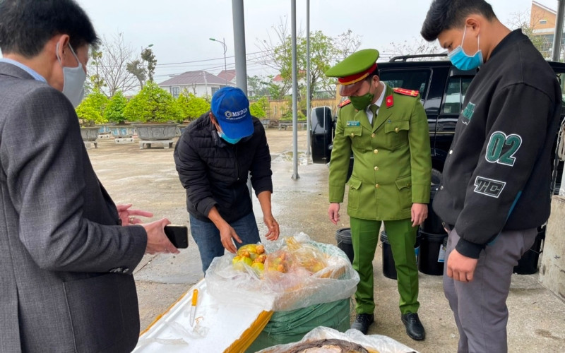 Lực lượng Cảnh sát môi trường, Công an tỉnh Thừa Thiên Huế phát hiện, bắt giữ lô hàng nội tạng không rõ nguồn gốc vận chuyển qua địa bàn.