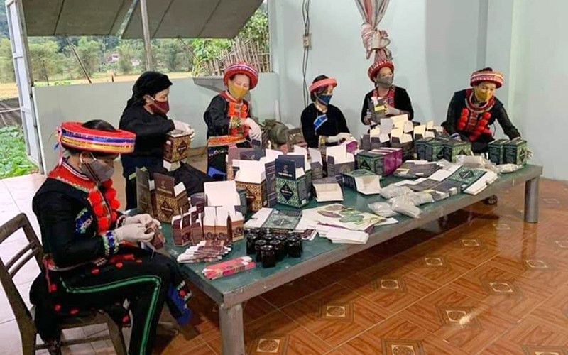 Hợp tác xã Thiên An (xã Vị Hương, huyện Bạch Thông, tỉnh Bắc Kạn) tăng thu nhập nhờ đẩy mạnh việc bán hàng qua sàn thương mại điện tử. Ảnh: LÝ QUYÊN