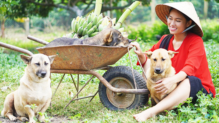 Hình ảnh yên bình trên kênh TikToker An Đen.