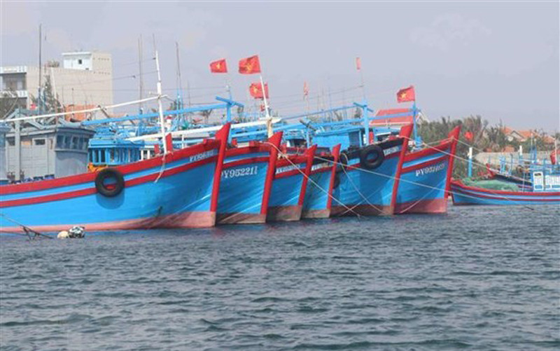 Ảnh minh họa. (Nguồn: TTXVN)