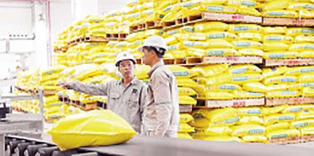 Sản xuất phân NPK Phú Mỹ tại Nhà máy NPK công nghệ hóa học của Tổng công ty Phân bón và Hóa chất dầu khí.