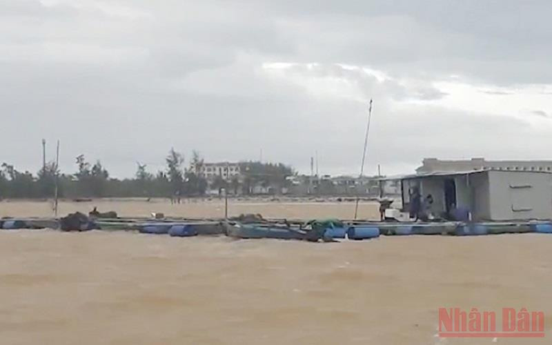 Nhiều lồng bè nuôi cá nguy cơ bị nước cuốn trôi.