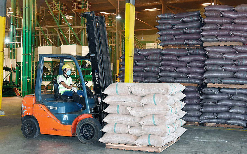 Cà-phê của Công ty TNHH Vĩnh Hiệp (Gia Lai) đạt tiêu chuẩn xuất khẩu sang thị trường châu Âu.