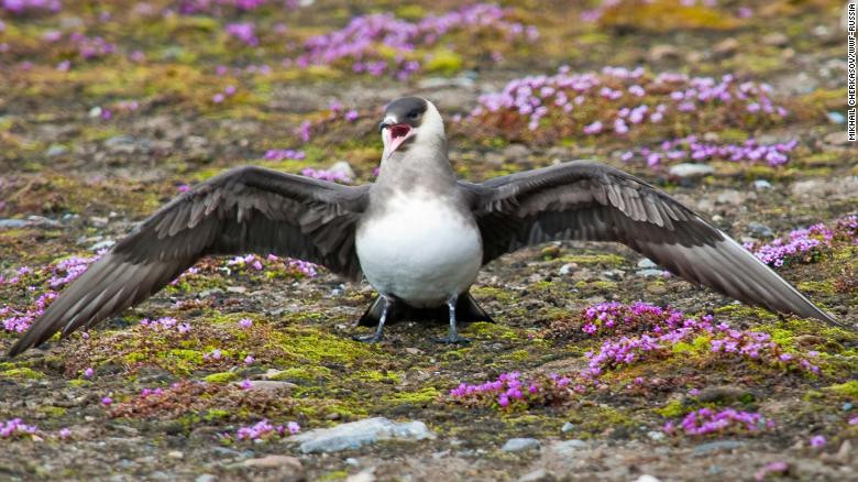 Các tác giả của báo cáo cảnh báo mất đa dạng sinh học là một mối đe dọa nghiêm trọng đối với an ninh lương thực toàn cầu.
