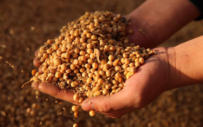 Ảnh minh họa. (Nguồn: Reuters)