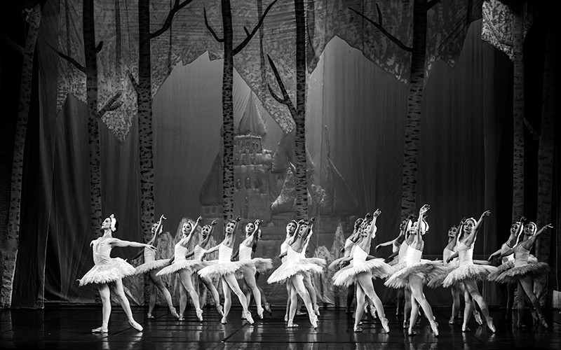 “Hồ Thiên nga là một dấu mốc quan trọng trong sự nghiệp của tôi”.