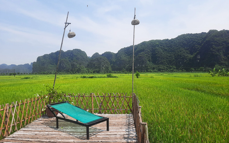 Những cánh đồng lúa ở Tam Cốc chuẩn bị vào độ đẹp nhất. Năm nay do dịch Covid-19, "Sắc vàng Tam Cốc - Tràng An" lại lỡ hẹn với du khách (Ảnh: H.B)