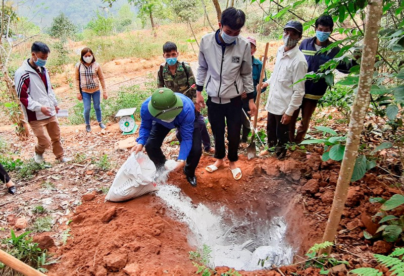 Người dân và cơ quan chuyên môn tỉnh Điện Biên tiêu hủy lợn mắc bệnh tả lợn châu Phi.