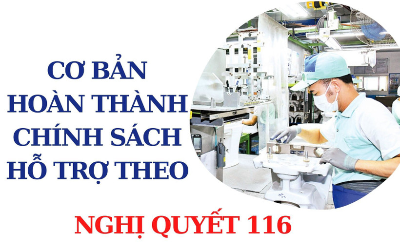 [Infographic] Cơ bản hoàn thành hỗ trợ theo Nghị quyết 116