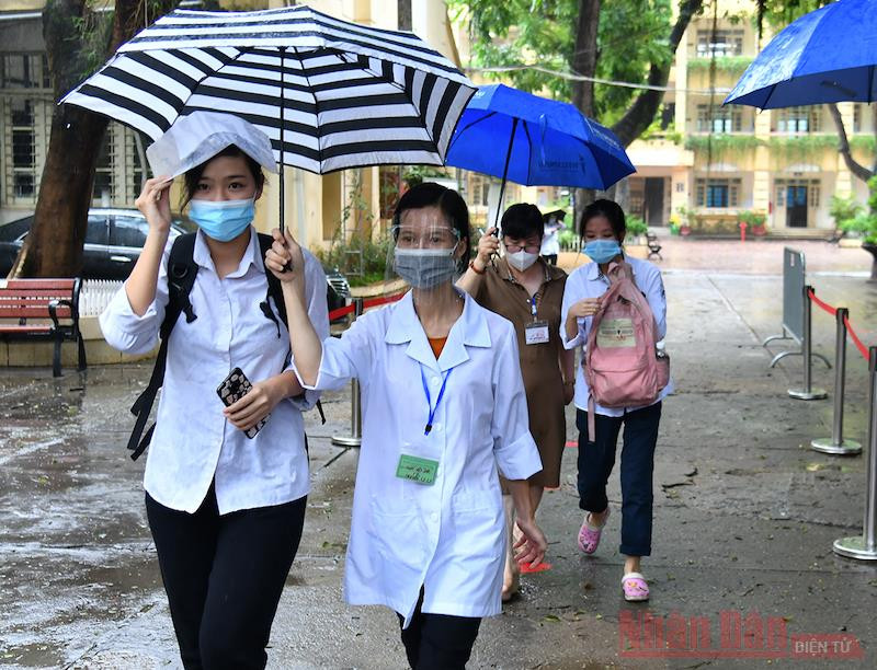 Ảnh minh hoạ: THUỶ NGUYÊN