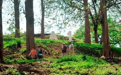 Du khách về thăm đồi A1.