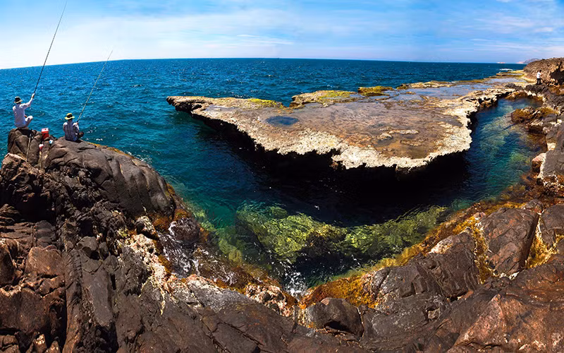 Khu Dữ trữ sinh quyển Núi Chúa được UNESCO công nhận là Khu dự trữ sinh quyển thế giới. 
