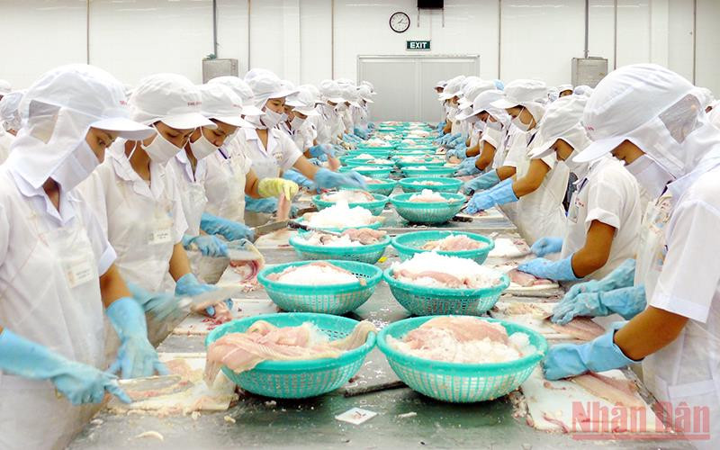 (Ảnh minh họa: THANH TÂM).