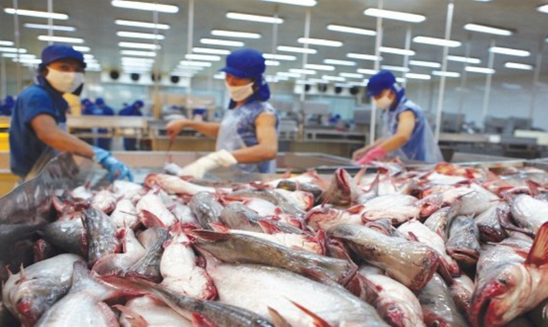 Năm 2021, không có lô hàng bị cảnh báo chỉ tiêu hóa chất, kháng sinh bởi các thị trường nhập khẩu có yêu cầu kiểm tra, chứng nhận bởi Cục Quản lý Chất lượng nông lâm sản và thủy sản trước khi xuất khẩu. 