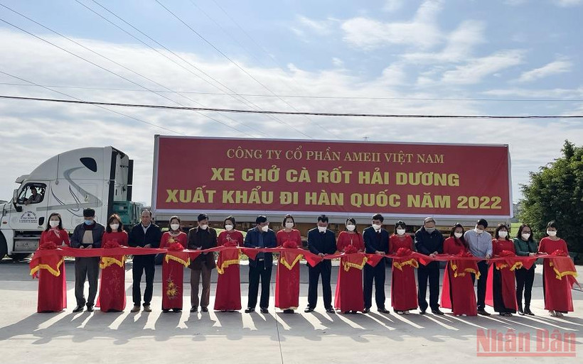 Cắt băng xuất khẩu lô cà rốt đầu tiên năm 2022 sang Hàn Quốc.