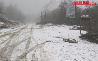 [Video] Xuất hiện mưa tuyết ở Lào Cai