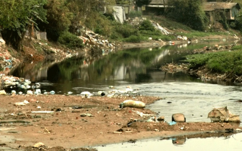 Ô nhiễm sông Đáy.