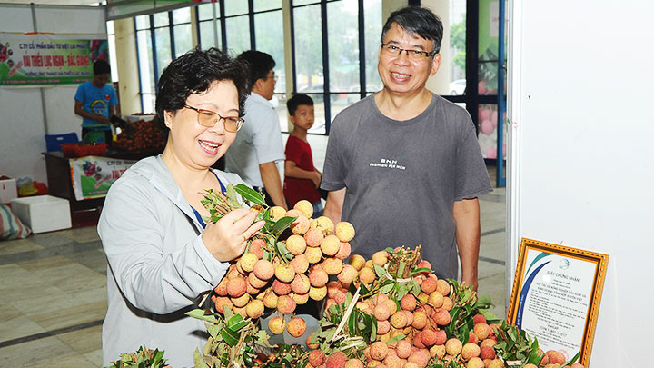 Nhiều hoạt động xúc tiến thương mại giúp người nông dân tiêu thụ nông sản. Ảnh: HẢI NAM