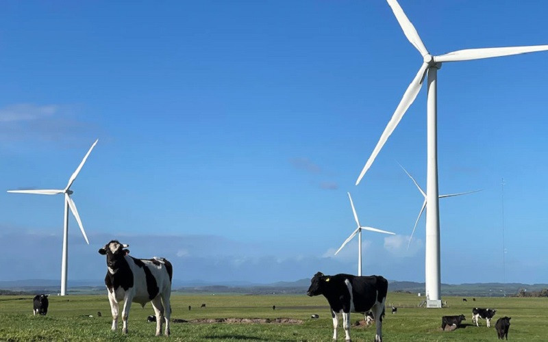 Quá trình khử carbon nhanh chóng hệ thống điện đóng vai trò quan trọng cho sự thành công của quá trình chuyển đổi năng lượng sạch. (Ảnh: ABC)