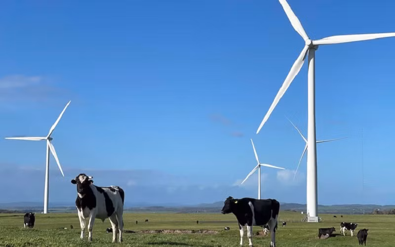 Quá trình khử carbon nhanh chóng hệ thống điện đóng vai trò quan trọng cho sự thành công của quá trình chuyển đổi năng lượng sạch. (Ảnh: ABC)