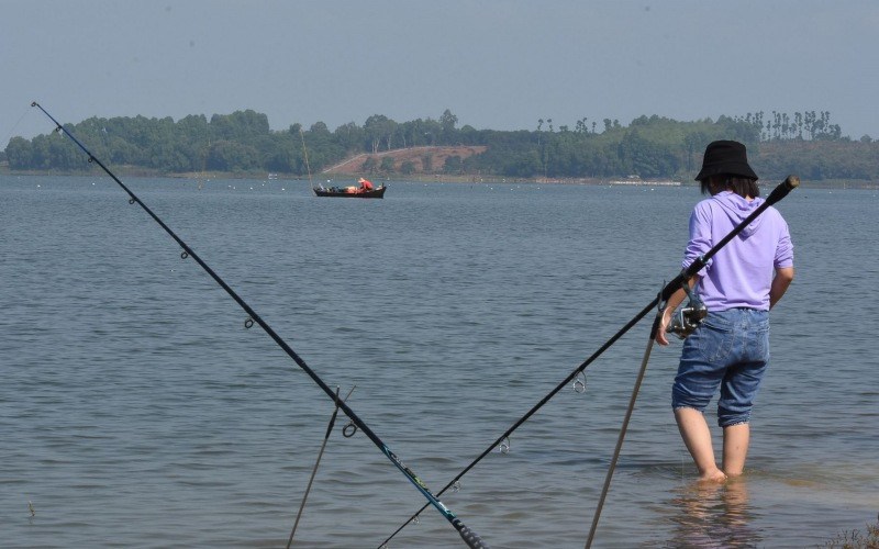 Một gốc hồ Trị An.