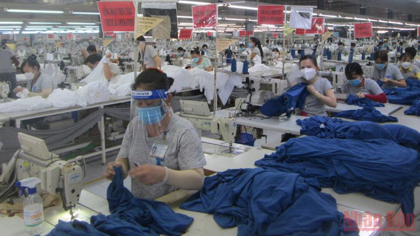 (Ảnh minh họa): Người lao động làm việc tại một Công ty may mặc tại Long An.