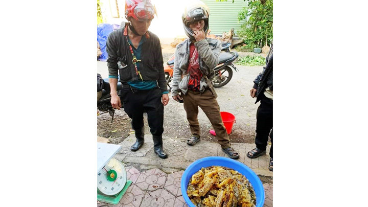 Thợ lấy mật ong rừng bán cho khách.