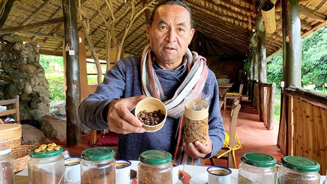 Sản phẩm cà-phê dơi sau thu hoạch. Ảnh: REUTERS