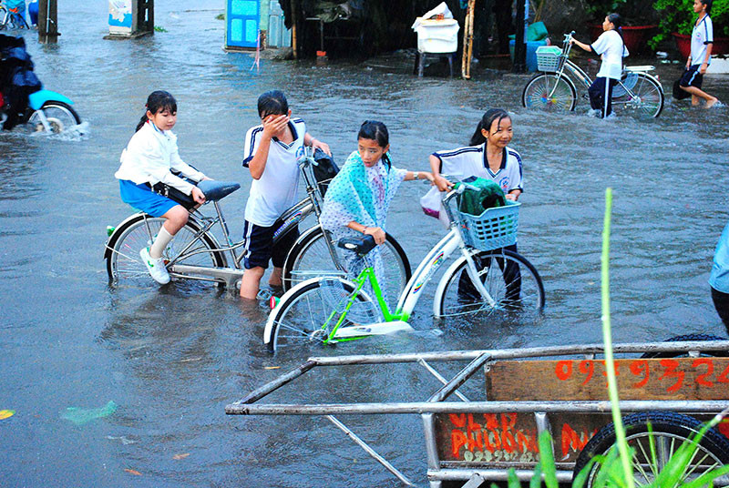 Mưa âm ỉ, Cà Mau bì bõm trong nước