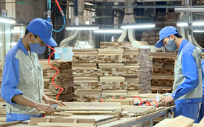 Sản xuất nguyên liệu bán thành phẩm ở Công ty cổ phần Woodsland Tuyên Quang. Ảnh: HẢI CHUNG