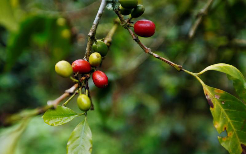 Ảnh minh họa. (Nguồn: Reuters)